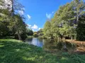Terrains de loisirs bois etangs a vendre Vimartin-sur-Orthe 53160 Mayenne 53 18 m2 26500 euros 1373 024