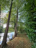 Terrains de loisirs bois etangs a vendre Vimartin-sur-Orthe 53160 Mayenne 53 18 m2 26500 euros 1373 013