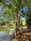 Terrains de loisirs bois etangs a vendre Vimartin-sur-Orthe 53160 Mayenne 53 18 m2 26500 euros 1373 014