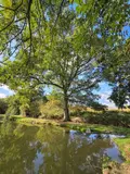 Terrains de loisirs bois etangs a vendre Vimartin-sur-Orthe 53160 Mayenne 53 18 m2 26500 euros 1373 023