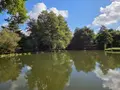 Terrains de loisirs bois etangs a vendre Vimartin-sur-Orthe 53160 Mayenne 53 18 m2 26500 euros 1373 025