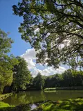 Terrains de loisirs bois etangs a vendre Vimartin-sur-Orthe 53160 Mayenne 53 18 m2 26500 euros 1373 028