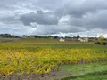 Appartement a vendre Libourne 33500 Gironde 33 96 m2 4 pièces 204750 euros 11633/483 008
