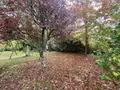 Maison a vendre Mérignac 33700 Gironde 33 197 m2 7 pièces 848700 euros 11638/321 013