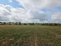 Bien agricole a vendre Villaines-la-Juhel 53700 Mayenne 53 95111 euros 1375 005