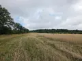 Bien agricole a vendre Villaines-la-Juhel 53700 Mayenne 53 95111 euros 1375 007
