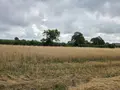 Bien agricole a vendre Villaines-la-Juhel 53700 Mayenne 53 95111 euros 1375 013