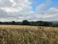 Bien agricole a vendre Villaines-la-Juhel 53700 Mayenne 53 95111 euros 1375 014
