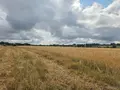 Bien agricole a vendre Villaines-la-Juhel 53700 Mayenne 53 95111 euros 1375 016