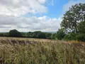 Bien agricole a vendre Villaines-la-Juhel 53700 Mayenne 53 95111 euros 1375 019