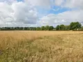 Bien agricole a vendre Villaines-la-Juhel 53700 Mayenne 53 95111 euros 1375 022
