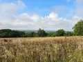 Bien agricole a vendre Villaines-la-Juhel 53700 Mayenne 53 95111 euros 1375 023