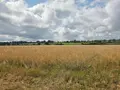 Bien agricole a vendre Villaines-la-Juhel 53700 Mayenne 53 95111 euros 1375 024