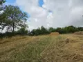 Bien agricole a vendre Villaines-la-Juhel 53700 Mayenne 53 95111 euros 1375 028