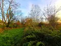 Bien agricole a vendre Égliseneuve-des-Liards 63490 Puy-de-Dôme 63 34000 euros 2025-61-2025211 007