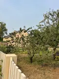 Terrain a batir a vendre Donges 44480 Loire-Atlantique 44 90000 euros 13827/639 002
