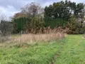 Terrain a batir a vendre Langolen 29510 Finistère 29 54000 euros TEBA/1042 003
