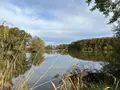 Propriete a vendre La Pérouille 36350 Indre 36 297 m2 8 pièces 871500 euros JA/791 006