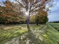 Propriete a vendre La Pérouille 36350 Indre 36 297 m2 8 pièces 871500 euros JA/791 010