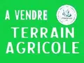 Bien agricole a vendre Venesmes 18190 Cher 18 44250 euros 1078136CA 001