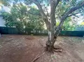 Maison a vendre Saint-Denis 97400 La Réunion 974 198 m2 8 pièces 540800 euros 97405/222 019
