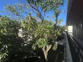 Maison a vendre Saint-Denis 97400 La Réunion 974 198 m2 8 pièces 540800 euros 97405/222 005