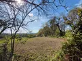 Bien agricole a vendre Pontivy 56300 Morbihan 56 47500 euros 063-452 001