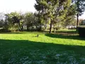 Maison a vendre Bazouges-la-Pérouse 35560 Ille-et-Vilaine 35 167 m2 15 pièces 307400 euros 091-657 005