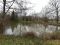 Terrains de loisirs bois etangs a vendre Marcillé-Raoul 35560 Ille-et-Vilaine 35 35000 euros 091-666 002