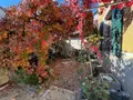 Maison a vendre Limogne-en-Quercy 46260 Lot 46 207 m2 6 pièces 298860 euros LI/648 003