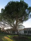 Maison a vendre Sancé 71000 Saône-et-Loire 71 90 m2 4 pièces 215000 euros MA 672 016
