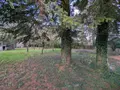 Maison a vendre Rebreuve-sur-Canche 62270 Pas-de-Calais 62 198 m2 10 pièces 177920 euros 2423 006