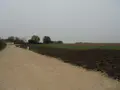 Terrain a batir a vendre Cravant 45190 Loiret 45 812 m2 49800 euros 091/1472 002