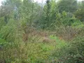 Maison a vendre Tavers 45190 Loiret 45 143 m2 3 pièces 191300 euros 091/1469 016