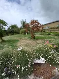 Maison a vendre Larchamp 53220 Mayenne 53 74 m2 3 pièces 114356 euros 1333 017