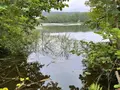 Terrains de loisirs bois etangs a vendre Le Val-d'Ajol 88340 Vosges 88 126540 euros 14815/202500185 ter 003