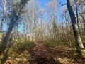 Terrains de loisirs bois etangs a vendre La Ferté-Imbault 41300 Loir-et-Cher 41 263500 euros 044/2044 002