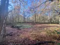 Terrains de loisirs bois etangs a vendre La Ferté-Imbault 41300 Loir-et-Cher 41 263500 euros 044/2044 003