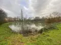 Terrains de loisirs bois etangs a vendre Tinténiac 35190 Ille-et-Vilaine 35 54000 euros 105/1895 006