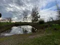 Terrains de loisirs bois etangs a vendre Buzançais 36500 Indre 36 13300 euros 1051817 001