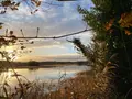 Terrains de loisirs bois etangs a vendre Lingé 36220 Indre 36 276800 euros 1049787 007