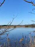 Terrains de loisirs bois etangs a vendre Lingé 36220 Indre 36 276800 euros 1049787 008