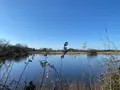 Terrains de loisirs bois etangs a vendre Lingé 36220 Indre 36 276800 euros 1049787 002