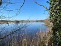 Terrains de loisirs bois etangs a vendre Lingé 36220 Indre 36 276800 euros 1049787 006