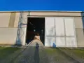 Divers a vendre Condé-sur-Seulles 14400 Calvados 14 368400 euros N3612 015
