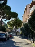 Appartement a vendre Marseille 8e Arrondissement 13008 Bouches-du-Rhône 13 57 m2 2 pièces 270000 euros 10521/30 010