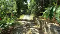 Propriete a vendre Deshaies 97126 Guadeloupe 971 312 m2 9 pièces 1195000 euros 15056/157 024
