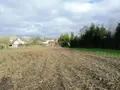 Terrain a batir a vendre Pontaubault 50220 Manche 50 50000 euros 12541/2245 006