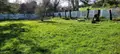 Terrain a batir a vendre Camaret-sur-Mer 29570 Finistère 29 850 m2 137800 euros 11355/3236 002