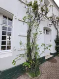 Maison a vendre Neufchâtel-Hardelot 62152 Pas-de-Calais 62 268 m2 10 pièces 644700 euros 069/569 013